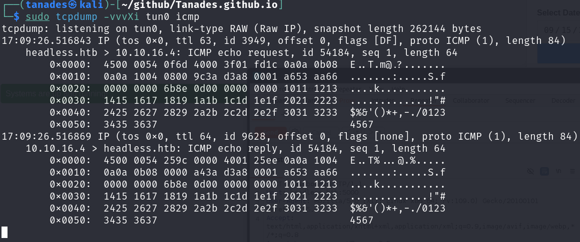 tcpdump